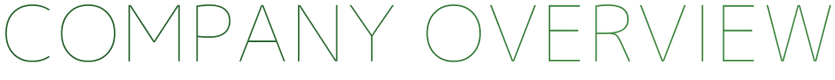 COMPANY OVERVIEW